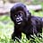 Animal Protection